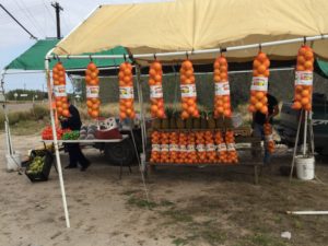 Roadside stand selling oranges