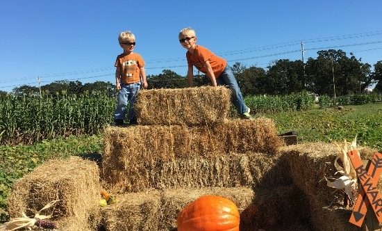 Kids on bales of hay at a pumpkin patch and corn maze.