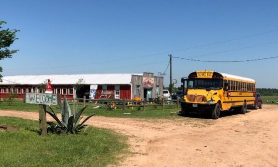 School bus parked in front of a farmers market